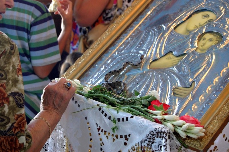 Εμφανίστηκαν και φέτος τα θαυματουργά φιδάκια της Παναγίας