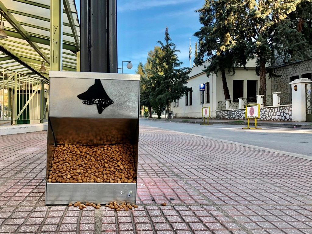 "Μείνε σπίτι, θα φροντίσουμε εμείς" αδέσποτα και δεσποζόμενα