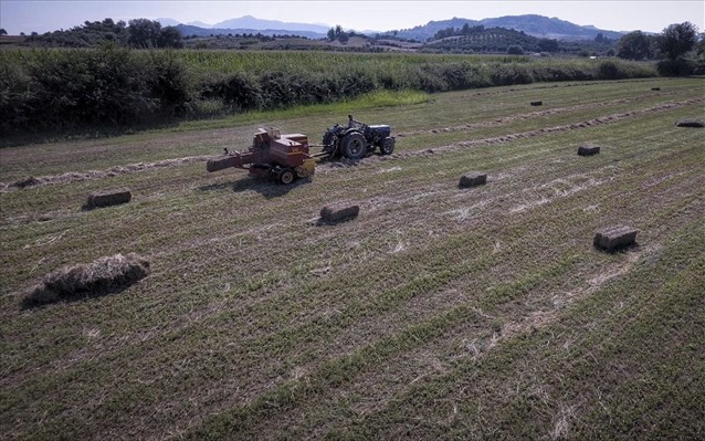 Καταβάλλονται άμεσα οι ενισχύσεις για το 2020