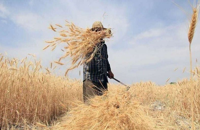 Παρατείνεται η προθεσμία υποβολής δηλώσεων