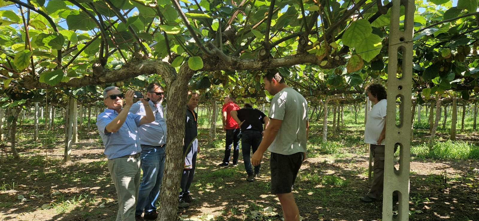 Στο πλευρό των παραγωγών ακτινιδίου Τεμπών