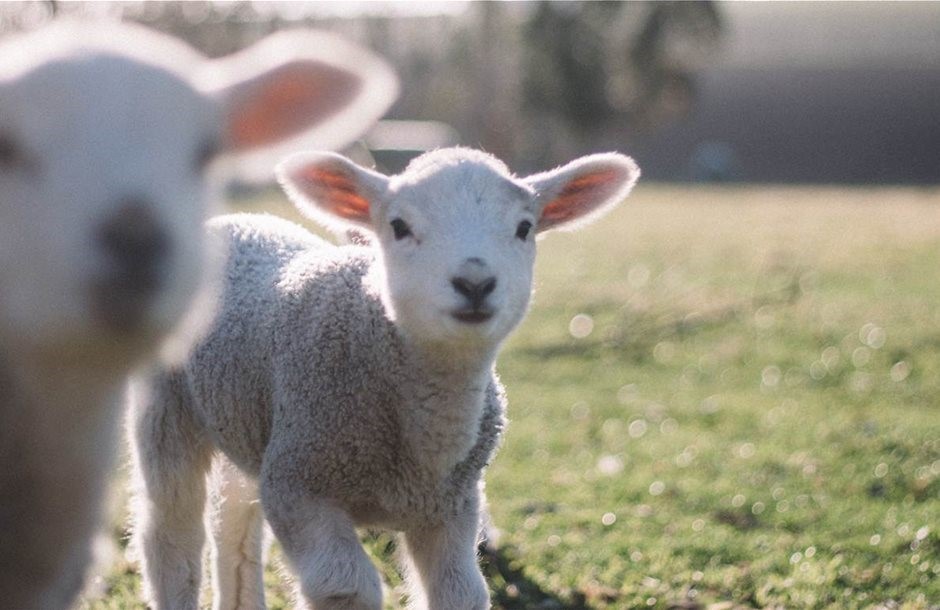 "Πλουτίζουν άλλοι στις πλάτες τις δικές μας"