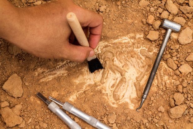 Επανέρχεται Διεθνές Αρχαιολογικό ερευνητικό πρόγραμμα 