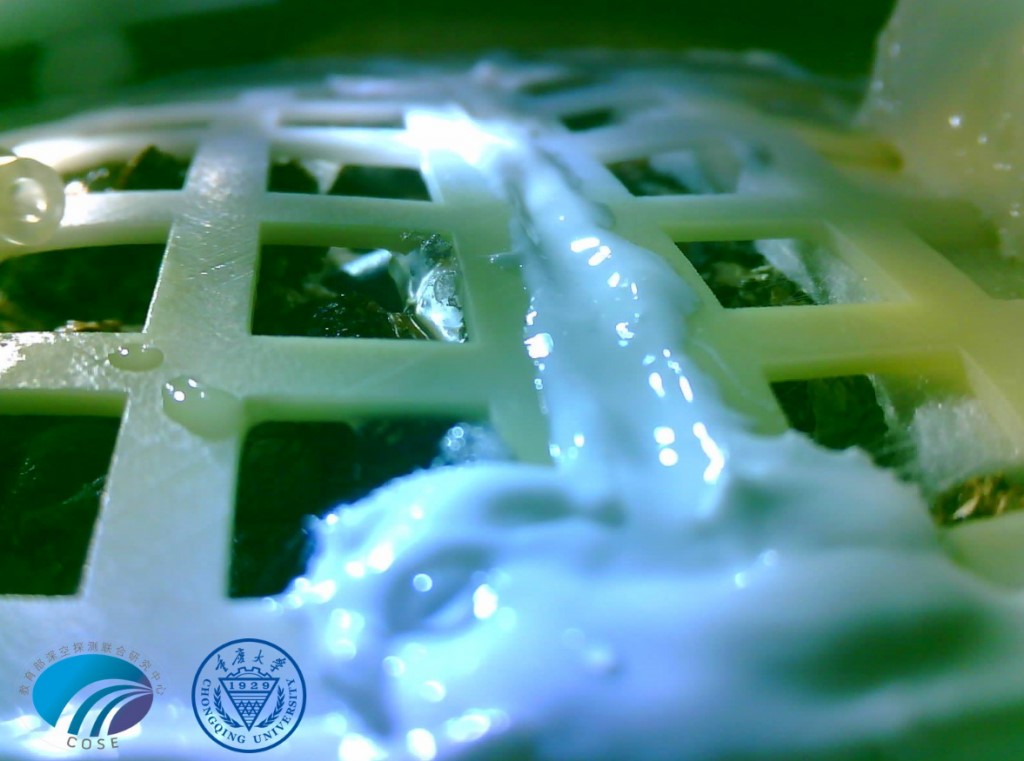 Σπόρος βαμβακιού βλάστησε στη Σελήνη