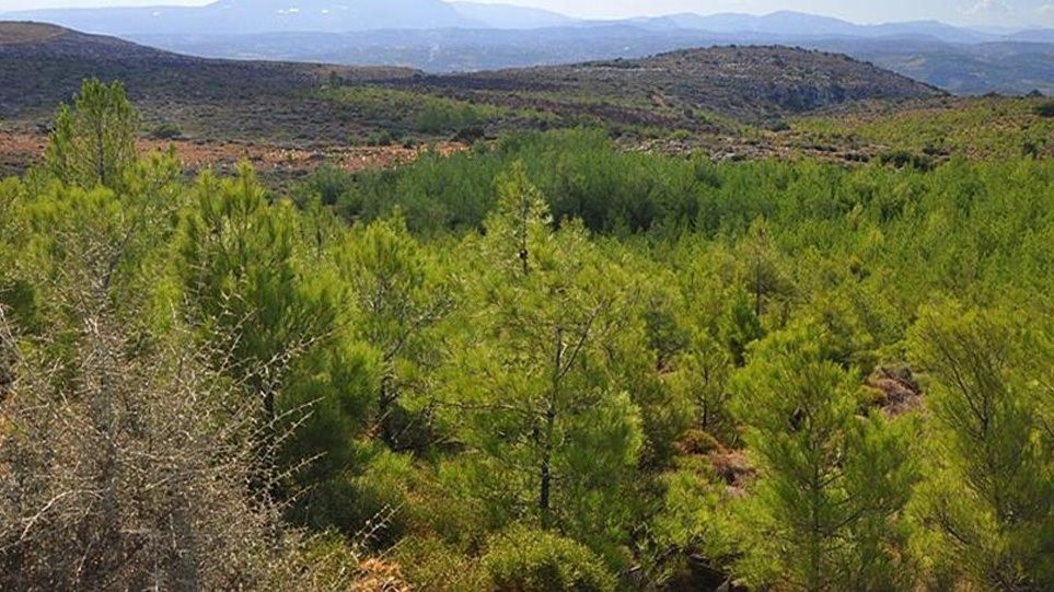 Παράταση 6 μηνών στη διαδικασία υποβολής αντιρρήσεων