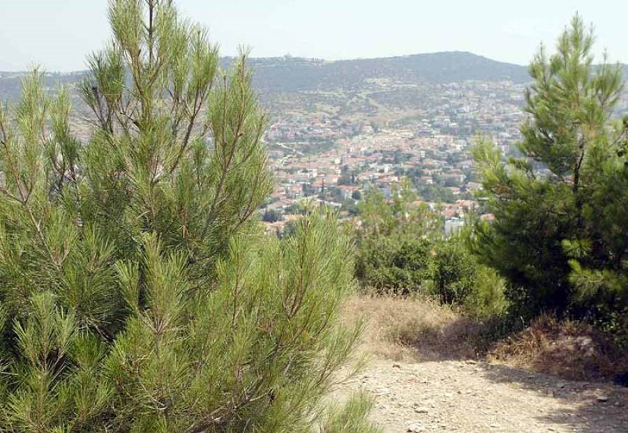 Δίμηνη παράταση για τους δασικούς χάρτες