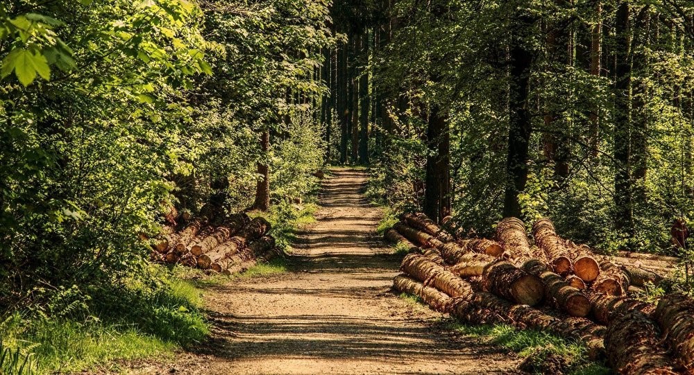 Γρονθοκοπήθηκε δασικός υπάλληλος στην Καλαμπάκα