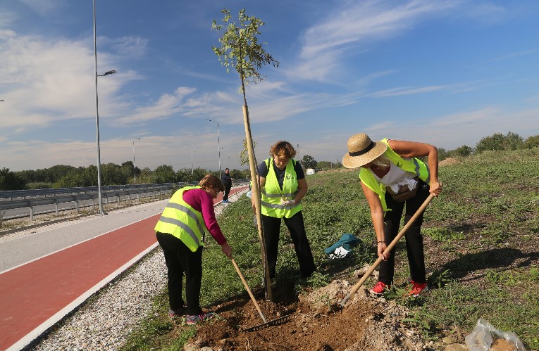Εθελοντές φύτευσαν 230 νέα δένδρα