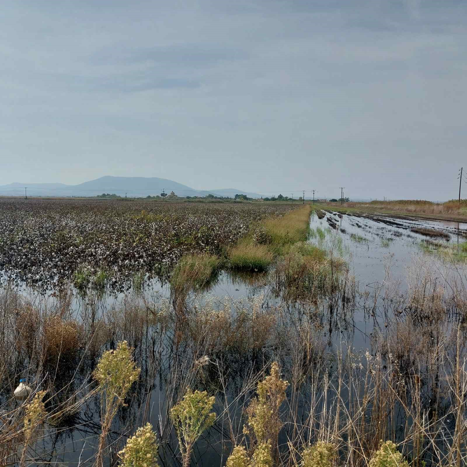 Αισιοδοξία επιστημόνων για τη γονιμότητα των εδαφών