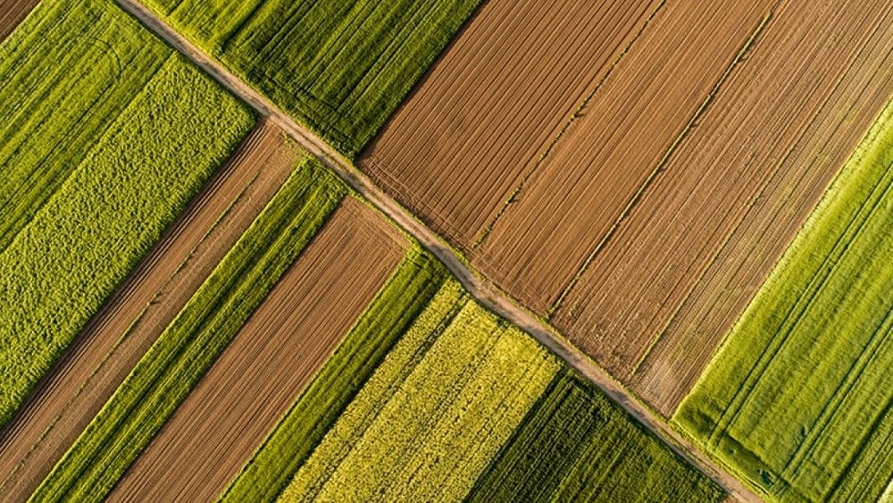 Έλληνας αγρότης ο καλύτερος βιοκαλλιεργητής