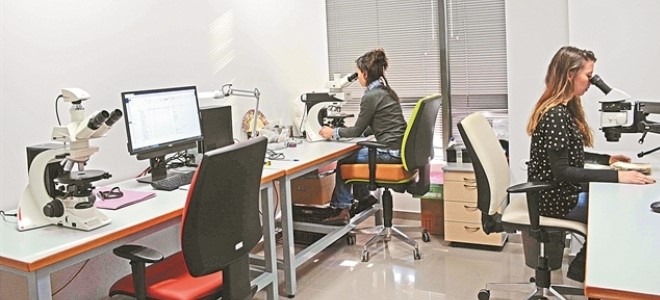 Τι έτρωγαν τότε οι άνθρωποι