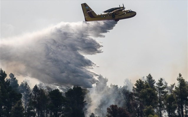 Λιγότερα φέτος τα καμένα δάση στην Ελλάδα