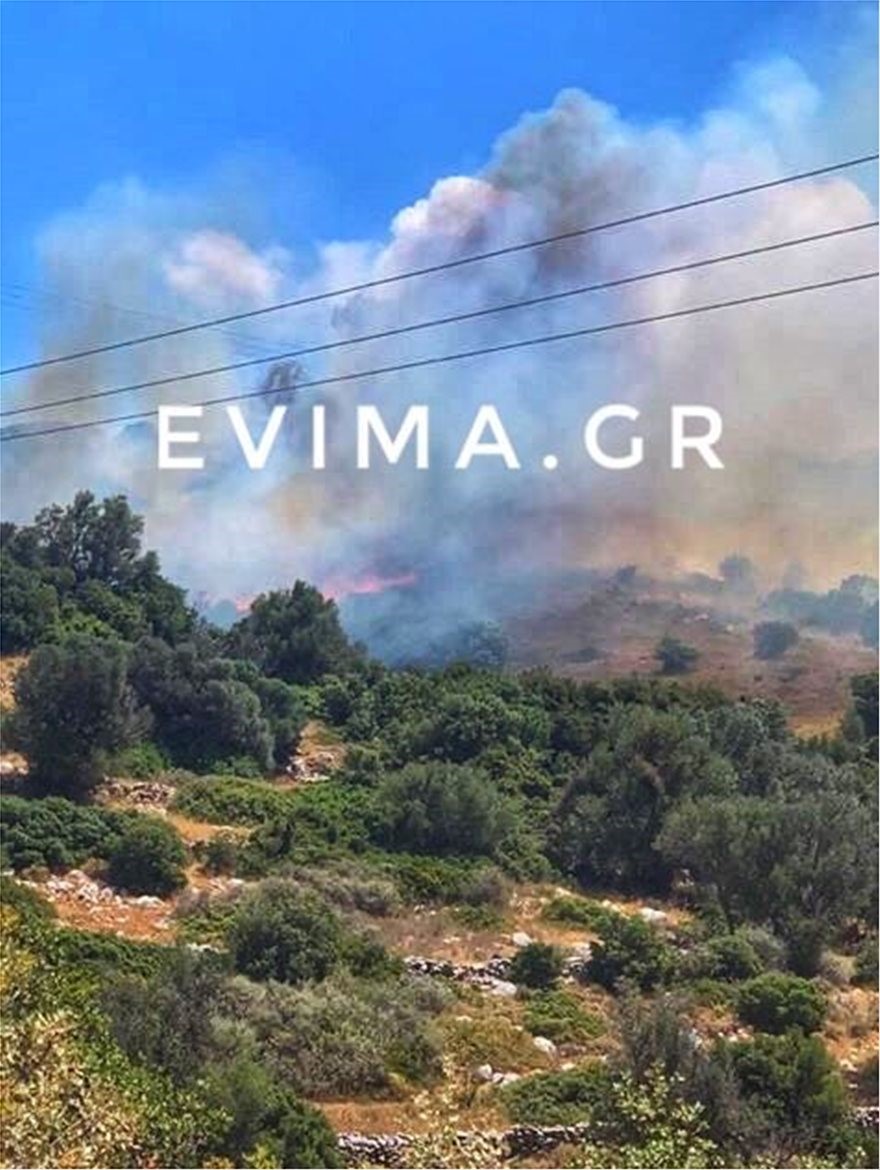 Μεγάλη φωτιά στην Κάρυστο της Εύβοιας