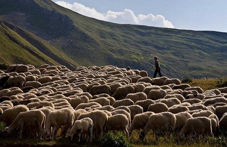Από 25 Ιουλίου οι αιτήσεις στήριξης