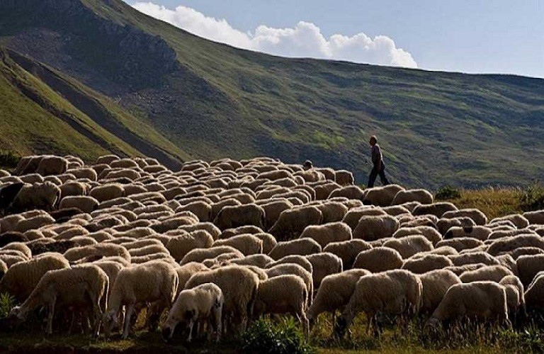 Από 25 Ιουλίου οι αιτήσεις στήριξης 