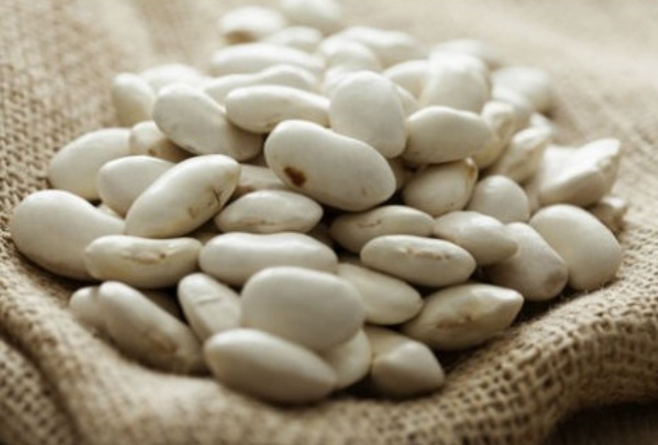 Ολική η καταστροφή της παραγωγής φασολιού