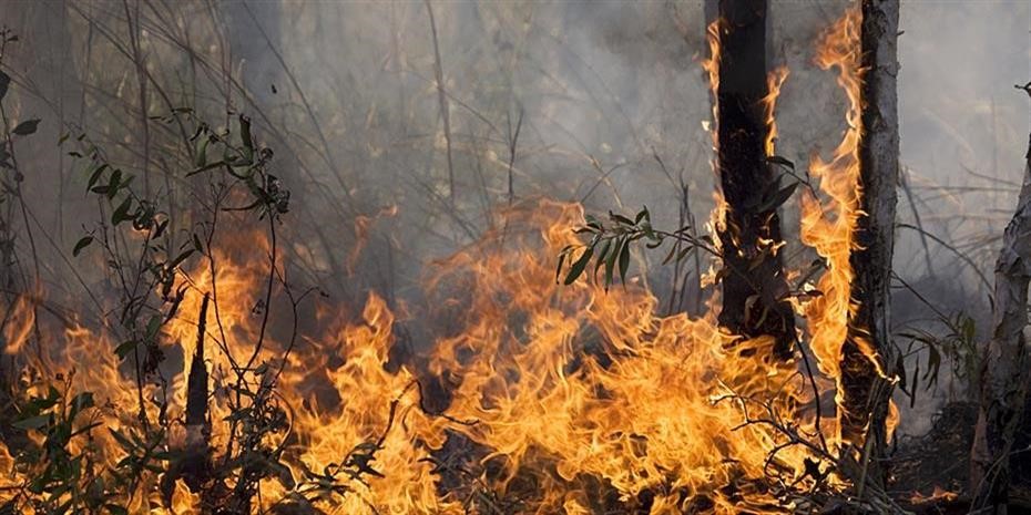 Στάχτη έγιναν 400.000 στρέμματα σε τρεις μόλις ημέρες!