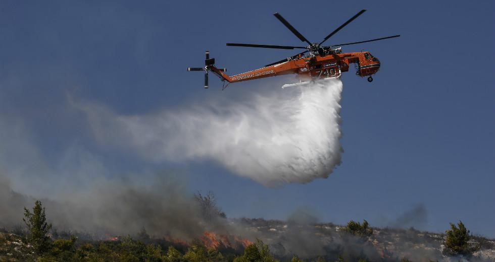 Τρίκαλα: Σε πλήρη έλεγχο η φωτιά στα Στουρναραίϊκα 