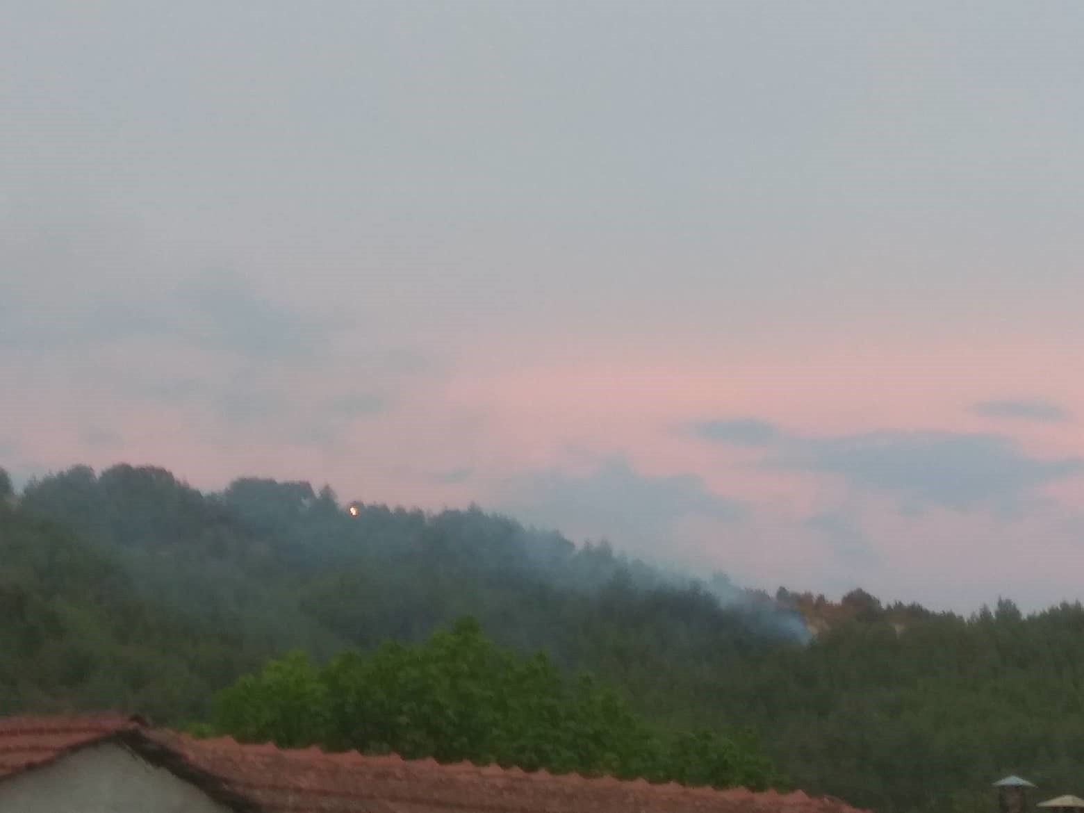 Φωτιά στο δάσος της Βασιλικής Τρικάλων