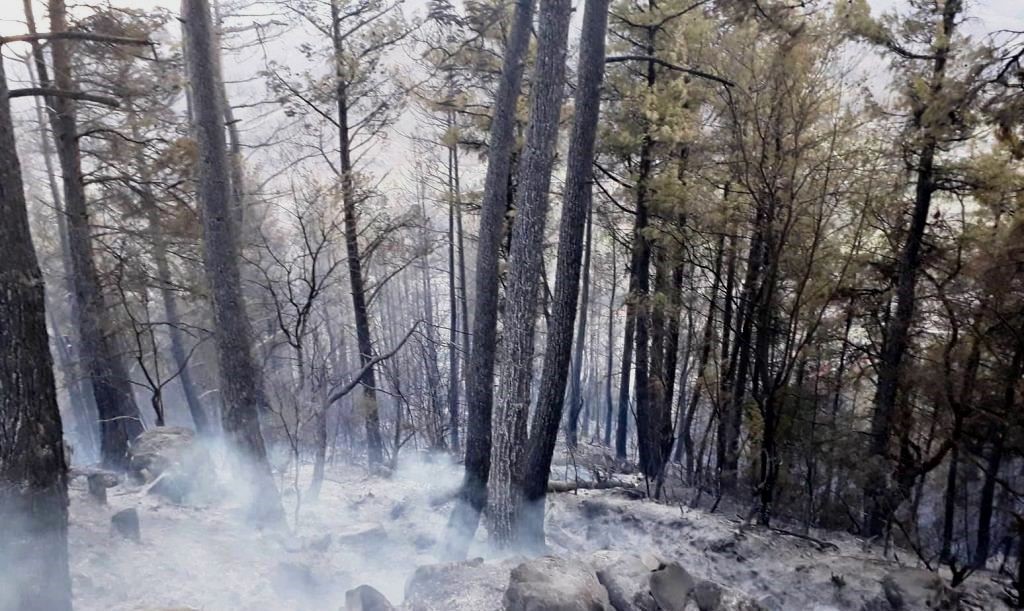 Συνελήφθη ηλικιωμένη για τη φωτιά