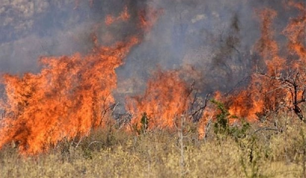 Απαγόρευση καύσης φυτικών υπολειμμάτων καλλιεργειών