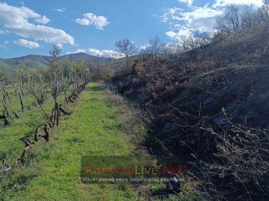 Πυρκαγιά έκαψε δασική έκταση στο Μοσχάτο