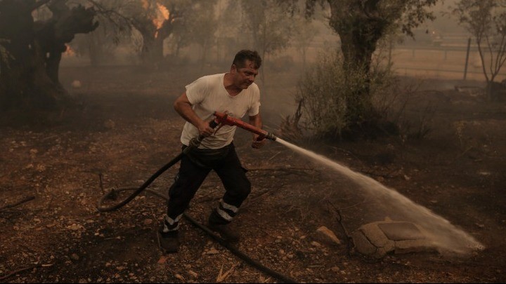 Συνολικά 53 δασικές πυρκαγιές το τελευταίο 24ωρο