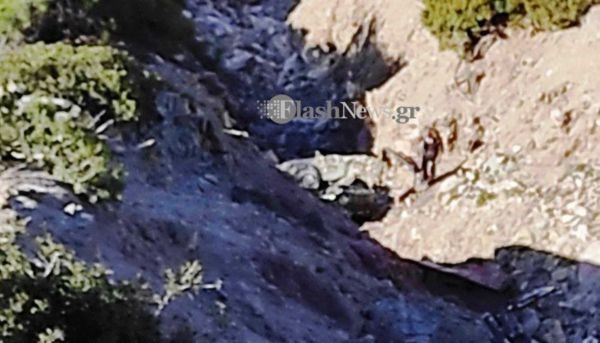 Φοιτήτρια η κοπέλα που σκοτώθηκε στο μοιραίο τροχαίο