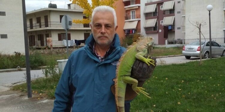 Ιγκουάνα βρέθηκε δίπλα σε κάδο απορριμμάτων