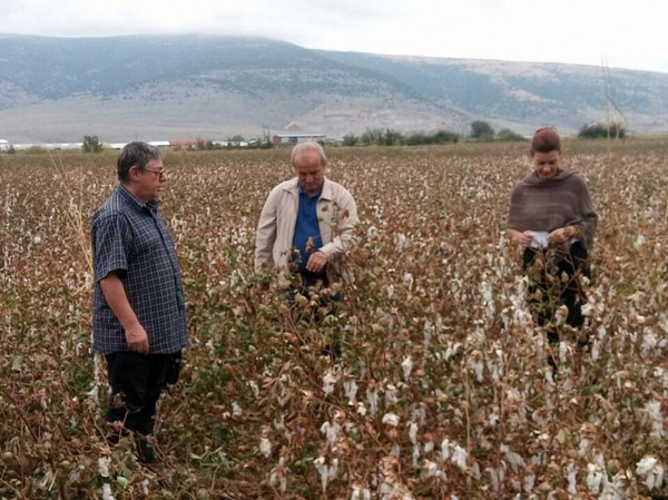 Ζημιές από το χαλάζι σε 6.750 στρέμματα καλλιεργειών