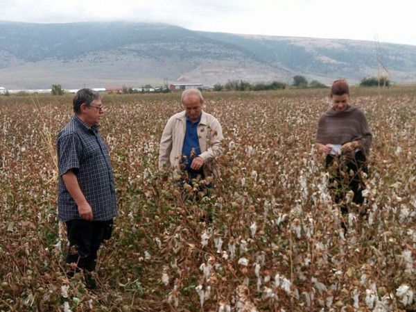 Ζημιές από το χαλάζι σε 6.750 στρέμματα καλλιεργειών