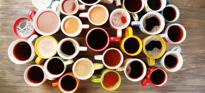 Στο χωράφι κοστίζει 0,29 σέντς το κιλό