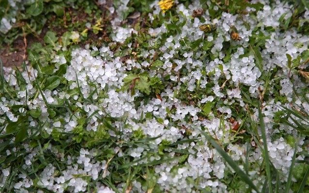 Eπλήγησαν 4.500 στρέμματα καλλιεργειών