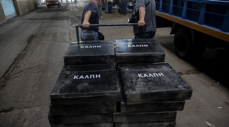 Για πρώτη φορά ψηφίζουν 438.595 νέοι