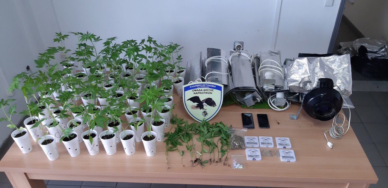 Εντοπίστηκε οργανωμένη φυτεία κάνναβης