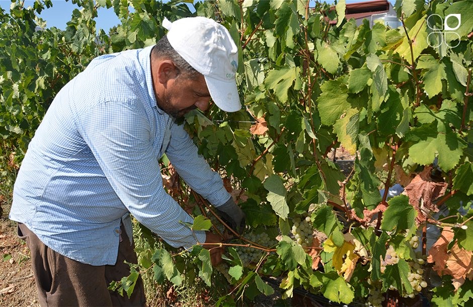 Eπιπλέον 1.330 θέσεις εργατών γης και κτηνοτροφίας