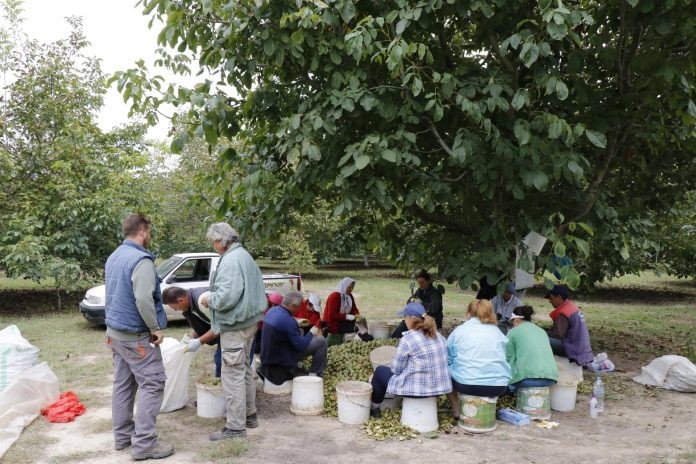 Εξαπατήθηκαν με τις αγορές ποικιλιών