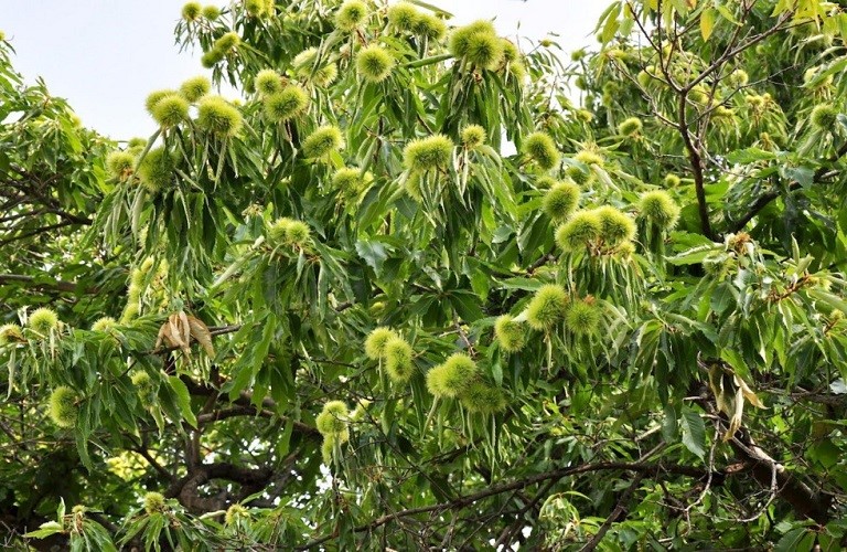 Αποζημιώσεις 1,16 εκατ. ευρώ στη Μαγνησία