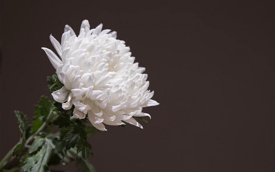 Γρεβενά: Σήμερα η κηδεία του 28χρονου