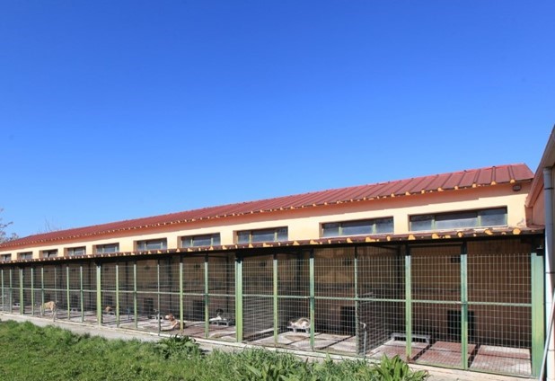 Tο Μακρυχώρι αποκτά καταφύγιο αδέσποτων ζώων