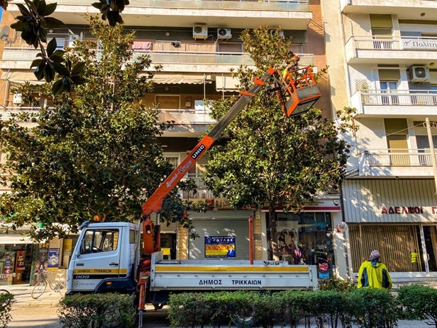 2.571 δέντρα σε 6 μήνες κλάδεψε ο Δήμος Τρικκαίων