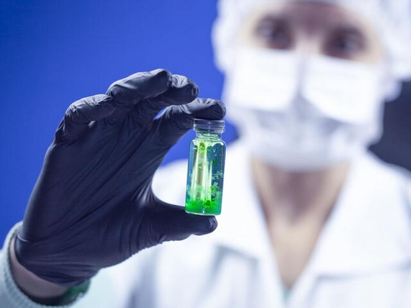 "Κλειδί" οι μεταλλάξεις του ιού για θεραπεία και εμβόλιο