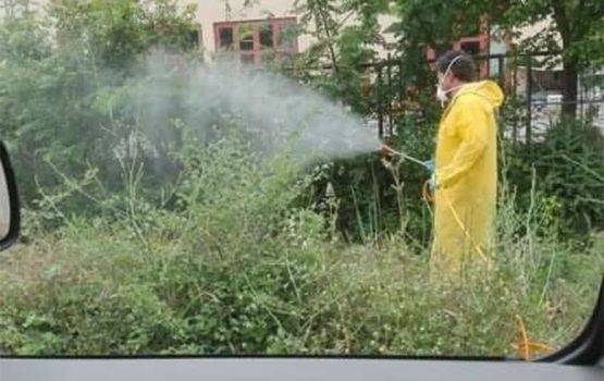 Ξεκίνησαν οι ψεκασμοί για την καταπολέμηση κουνουπιών