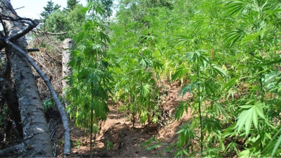 Προφυλακίστηκε ο 27χρονος "τσιλιαδόρος"