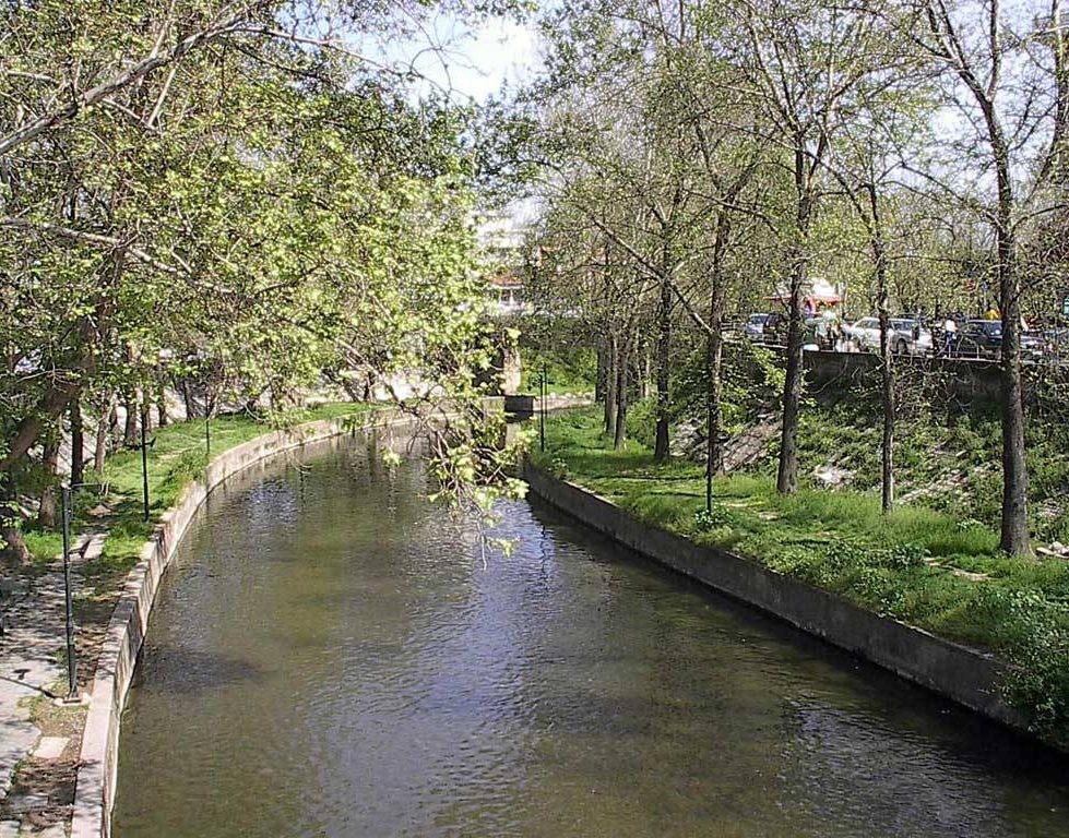 Ταχείες διαδικασίες για 1.300 δέντρα σε Ληθαίο, Αγιαμονιώτη