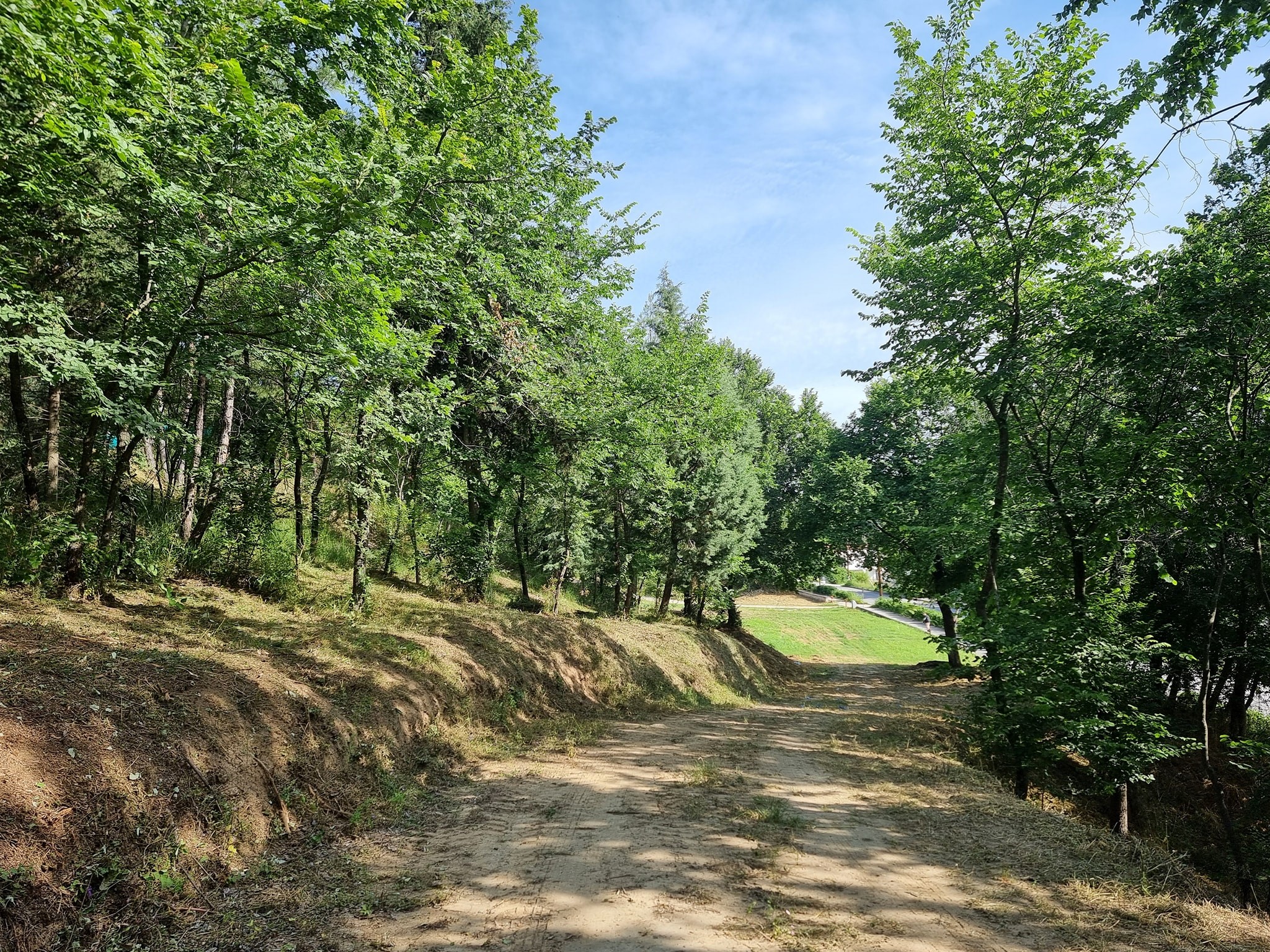 Σε πλήρη εξέλιξη τα έργα καθαρισμού στο λόφο του Πρ. Ηλία