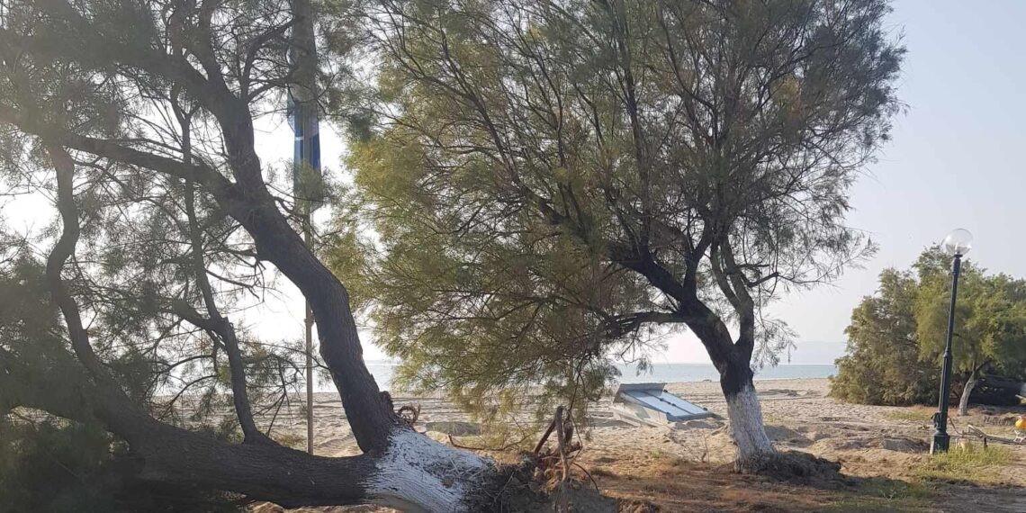 Βαρύς ο πέλεκυς για τους βανδαλισμούς σε δημόσιες υποδομές