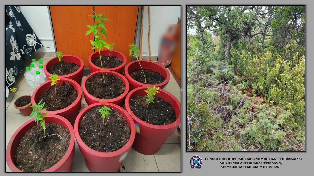 Δώδεκα συλλήψεις για ναρκωτικά την τελευταία εβδομάδα