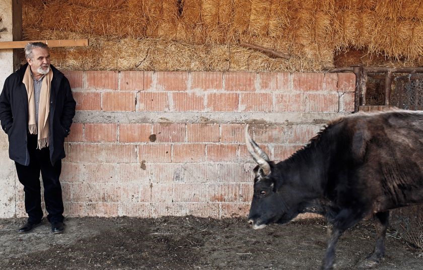 Ο Νώε των Τρικάλων