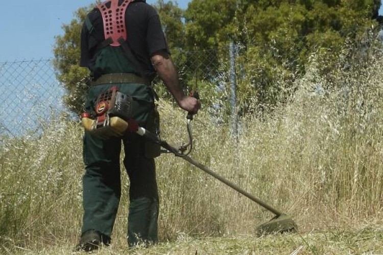 Έκκληση του Δήμου να καθαριστούν τα ιδιωτικά οικόπεδα 